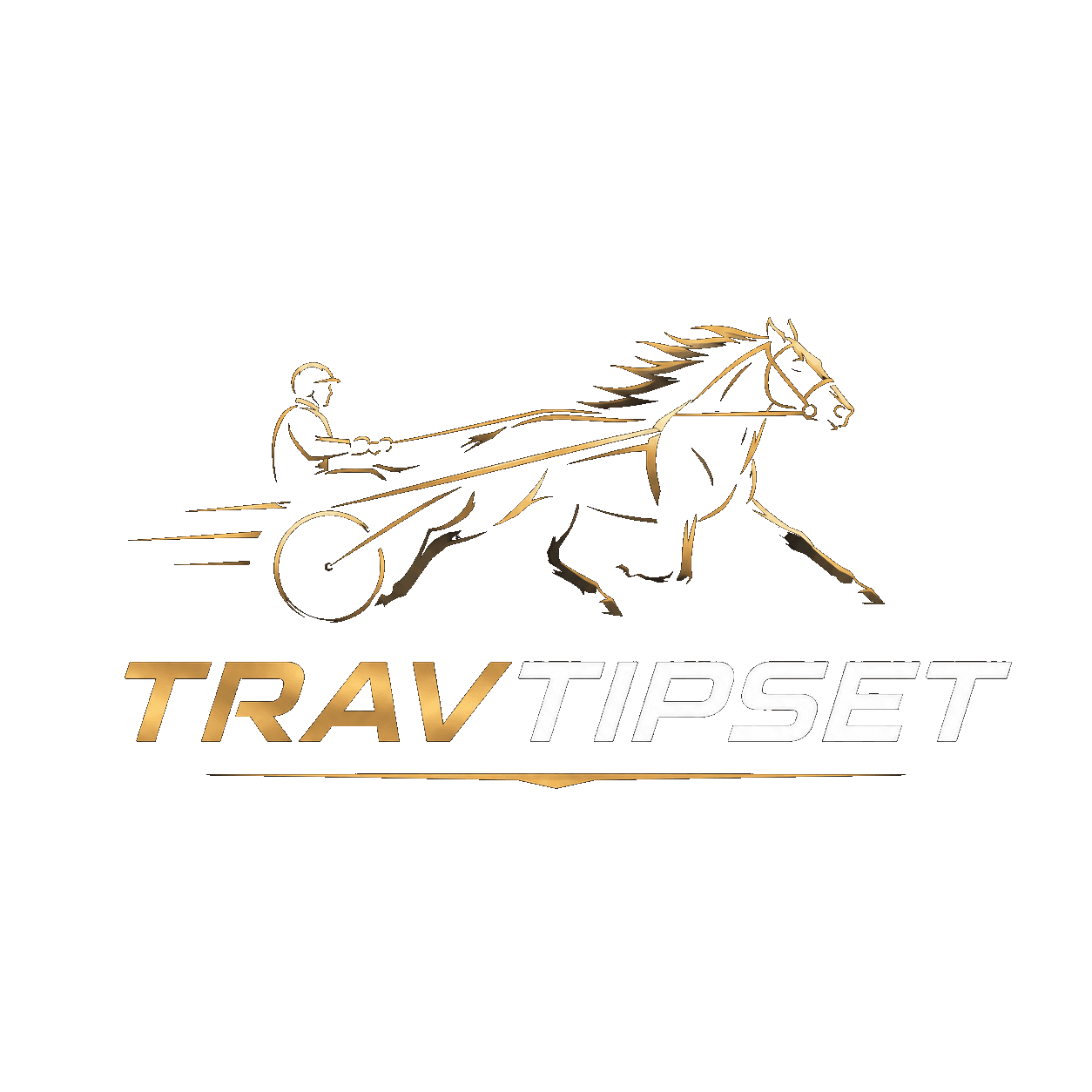Travtipset